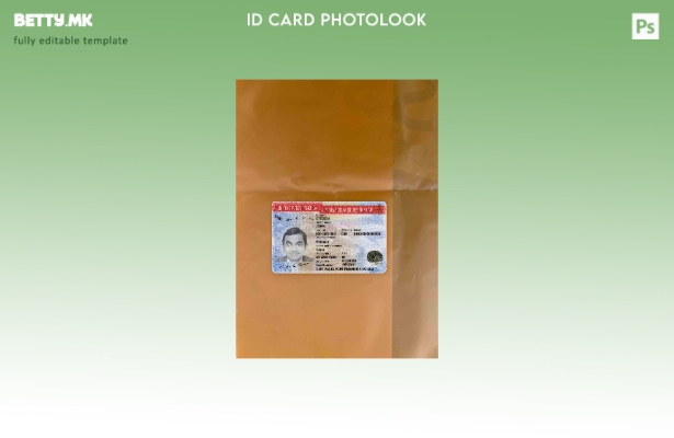 модерен стил САД картичка за овластување за вработување верзија photolook ПРЕДЕН